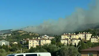 Kocaeli'nin Karamürsel ilçesinde orman yangını başladı
