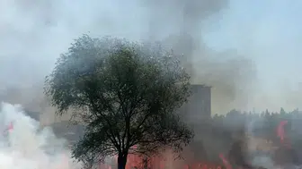 Kocaeli Kartepe'de korkutan yangın: Yüzlerce boş cam şişe bulundu