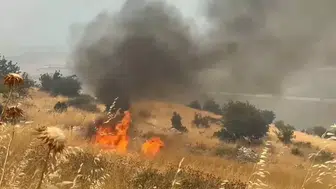 Sırbistan'da orman yangınları: 1 ölü, 14 yaralı!