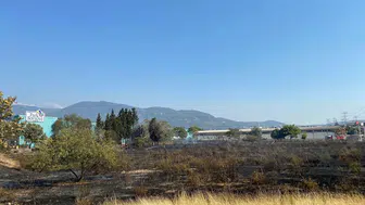 Bornova’da ot yangını panik yarattı! Alevler AVM otoparkına sıçradı