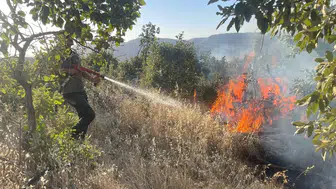 Gabar Dağı'ndaki orman ve örtü yangını kontrol altında!