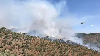 Muğla'da korkutan orman yangını! Havadan ve karadan müdahale sürüyor
