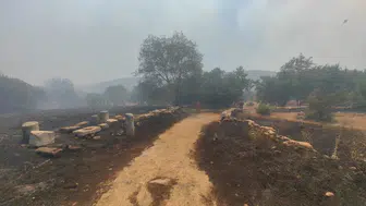 Muğla'da antik kent alanında yangın!
