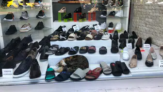 Sıcaktan bunalan kedi ayakkabı vitrininde serinledi: O anlar gülümsetti