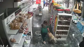 Bursa'daki depremde tedavi gören köpeği içeride bırakmadı!