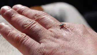 Tokat’ta KKKA alarmı: 7 kişi tedavi altında, 2 kişi hayatını kaybetti