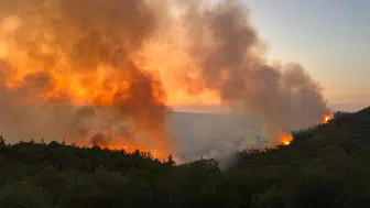 Balıkesir'deki orman yangını kontrol altına alındı