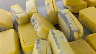 1.5 ton küflü peynir vatandaşa satılacaktı!