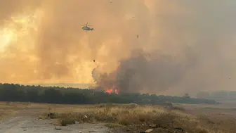 Çanakkale'deki orman yangınında 4 kişi gözaltına alındı