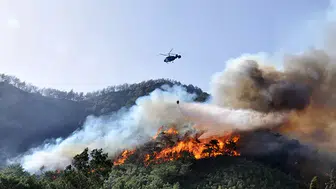 Antalya’da 2025’te 118 orman yangını çıktı: 540 hektar alan kül oldu