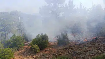 Denizli'de orman yangını