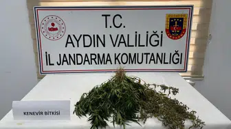 Aydın'da uyuşturucu operasyonu: 13 şüpheli yakalandı!