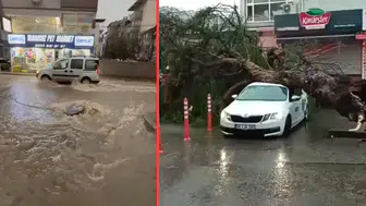 İzmir'de sağanak ve fırtına çilesi: Ağaçlar devrildi, röğarlar taştı