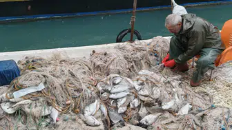 Silifke'de deniz taştı, balıklar karaya vurdu! Kafesler yırtılınca sahil doldu taştı