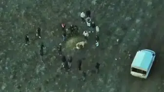 Afyonkarahisar'da jandarmadan dronla baskın: Köpek dövüştüren şahıslar yakalandı