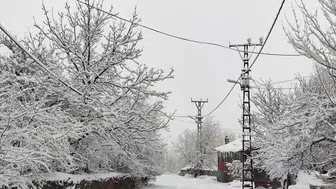 Bingöl Valiliği açıkladı, bazı yollar trafiğe kapatıldı!