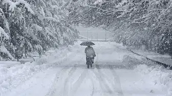 Japonya'da kar felaketi: 4 kişi öldü, 26 kişi yaralandı!