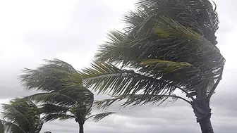 Muğla'da kuvvetli rüzgar ve sağanak uyarısı!