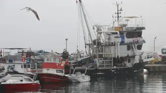 Tekirdağ'da sis etkisi: Balıkçılar denize açılamıyor