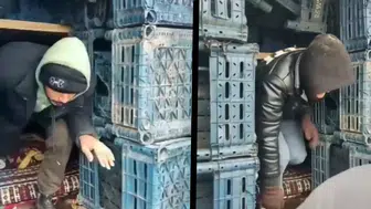 Düzce'de göçmen operasyonu : 13 kişi yakalandı