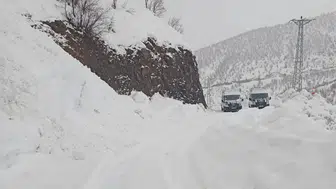 Siirt'te kar nedeniyle araçlar mahsur kaldı, yetkililer çalışma başlattı