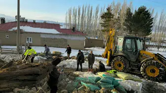 Sivas'ta ağılın çatısı düştü : 40 koyun telef oldu