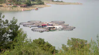 Adana Kozan Barajı’nda doluluk oranı arttı, çevre kirliliği görünür oldu