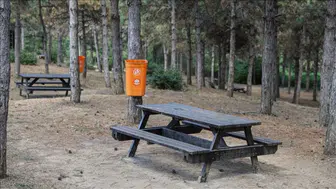 Ormanlık alana atık döken belediyeye 4,6 milyon lira para cezası kesildi