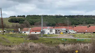 İstanbul Arnavutköy'de dehşet : Elektrikli testere ile saldırdı