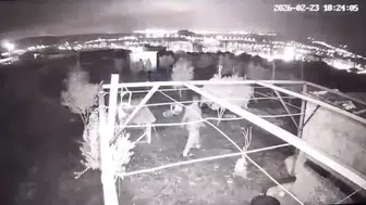 Osmaniye’de hobi bahçesine hırsız girdi : 25 güvercin çalındı