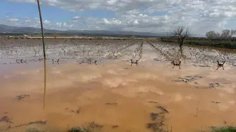 Manisa'da Gediz Nehri taştı : Evlerinde mahsur kalan vatandaşlar traktörlerle kurtarıldı