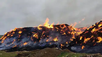 Kocaeli'de yangın : 70 saman balyası küle döndü