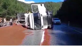 Antalya'da kaza : Peyzaj malzemeleri yüklü tır devrildi