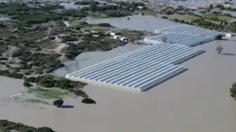 Antalya Kaş'ta seralar sular altında kaldı