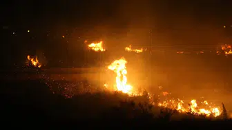 Hatay'da zeytinlikte çıkan yangın, ekipler tarafından kontrol altına alındı