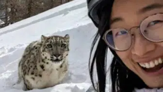 Çin'de leoparla selfie çekmek isteyen kadın ölümden son anda kurtuldu