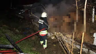 Ordu'da ahır yangınında 27 büyükbaş hayvan telef oldu