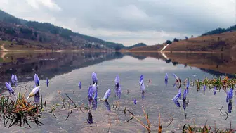 Baharı müjdeleyen ikinci cemre suya düştü