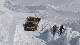 Van'da mezra yoluna çığ düştü