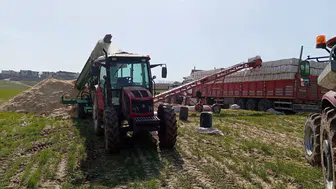 Siirt'te bir işçi kazara kendini silahla vurdu