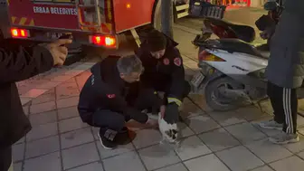 Tokat'ta boş evin balkonunda mahsur kalan kediyi itfaiyeciler kurtardı