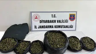 Diyarbakır’da 129 kilo uyuşturucu ele geçirildi : 21 şüpheliye işlem yapıldı