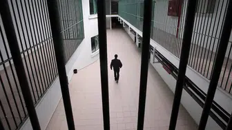 Cani babanın kiralık katil planı : 'Bir adam tut, dışarıda onu öldürsün'