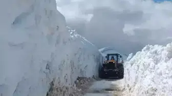 Bitlis’te çığ ve heyelan köy yollarını kapattı