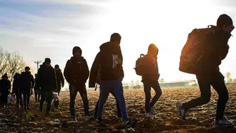 Edirne'de 6, Kırklareli'de 4 düzensiz göçmen yakalandı