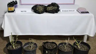 Antalya'da uyuşturucu operasyonu : 243 gram madde ele geçirildi