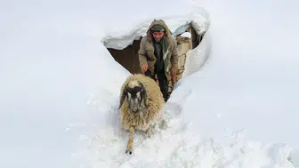Van, Hakkari ve Bitlis'te kar esareti : 103 yerleşim yerine ulaşım sağlanamıyor