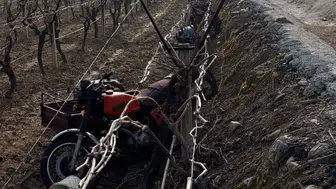 Manisa'da motosiklet devrildi : 70 yaşındaki sürücü öldü