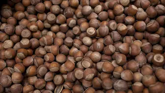 Fındık fiyatları bugün ne kadar oldu? İl il güncel fiyatlar nedir?