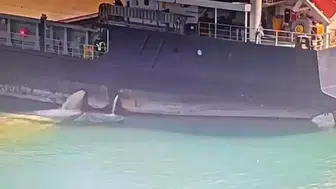 Mersin'de denizi kirleten gemiye 13 milyon TL ceza yazıldı